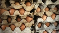 Kenaikan harga telur ayam juga imbas geliat industri hotel, restoran dan katering yang mulai aktif memanfaatkan telur ayam sebagai bahan pangan yang dibutuhkan.