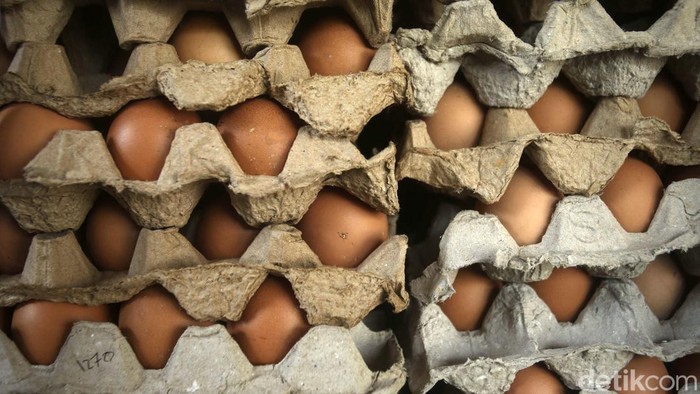 Harga telur meroket di akhir tahun 2021. Hal ini membuat daya mebli menurun dan mengkoreksi mendapatan para agen telur.