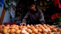 Salah seorang pemilik agen mengatakan, permintaan telur ayam di tempatnya masih tinggi karena bahan pangan ini diperlukan untuk keperluan bansos bagi warga terdampak erupsi Gunung Semeru, Jawa Timur.