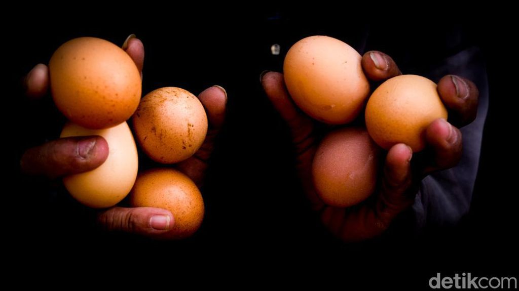 Harga Telur Masih Tinggi Jelang Pergantian Tahun
