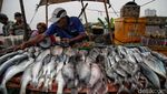Jelang Malam Tahun Baru, Warga Berburu Seafood di Jakut
