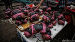 Jelang Malam Tahun Baru, Warga Berburu Seafood di Jakut