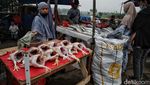 Jelang Malam Tahun Baru, Warga Berburu Seafood di Jakut
