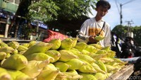 Harga jagung manis tersebut barvariasi, mulai dari Rp 3 ribu hingga Rp 5 ribu rupiah per buah.