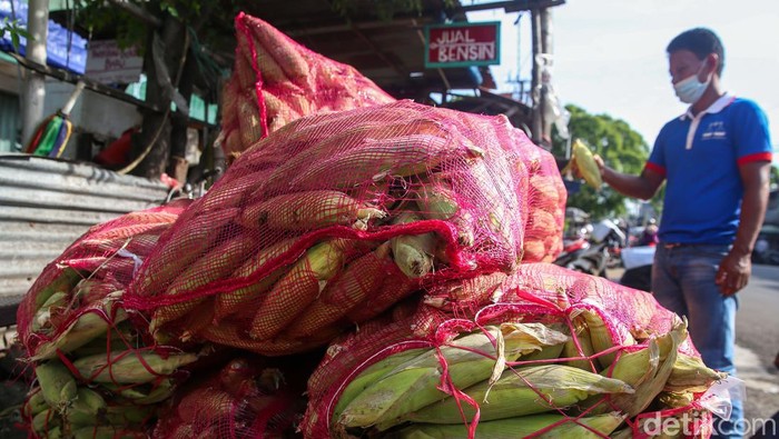 Jelang malam tahun baru, banyak masyarakat yang membeli jagung manis untuk dibakar. Seperti terlihat di Pasar Kebayoran Lama, Jakarta.