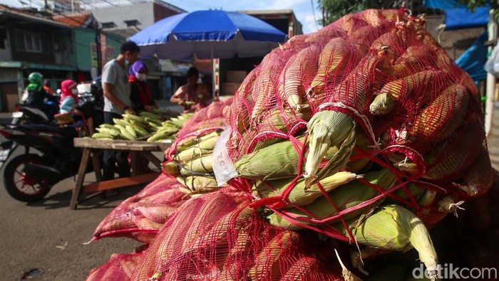 Laris Manis Pedagang Jagung Manis di Pasar Kebayoran Lama Jelang malam tahun baru, banyak masyarakat yang membeli jagung manis untuk dibakar. Seperti terlihat di Pasar Kebayoran Lama, Jakarta.
