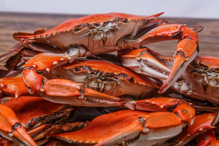 Lobster, Kepiting dan Udang Bisa Rasakan Sakit Saat Dimasak Hidup-hidup