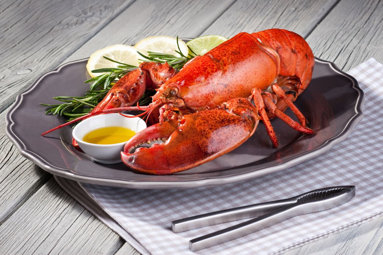 Lobster, Kepiting dan Udang Bisa Rasakan Sakit Saat Dimasak Hidup-hidup