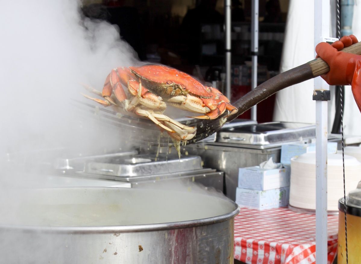 Lobster, Kepiting dan Udang Bisa Rasakan Sakit Saat Dimasak Hidup-hidup