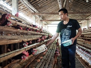 Mengembangkan Agrobisnis Berbasis Peternakan