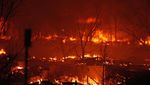 Potret Kebakaran Hutan yang Hanguskan Ratusan Rumah di Colorado