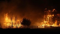 Negara bagian Colorado, Amerika Serikat (AS) dilanda kebakaran hutan jelang akhir tahun 2021 ini, (30/12/2021).