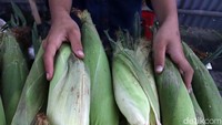 Satu kilogram jagung dijual Hendra dengan harga Rp 10 ribu.