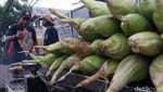Wow! Akhir Tahun Pedagang Jagung di Bandung Untung Besar
