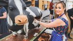 10 Cake Ini Mirip Hewan Asli, Ada Bentuk Monyet hingga Gajah