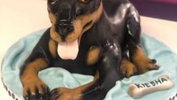 Anjing mungil ini terlihat seperti asli, padahal hanyalah sebuah cake. Molly kerap membuat kue untuk perayaan ulang tahun. Momen ulang tahun dijamin makin spesial.  Foto: Instagram @mollymakescake