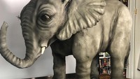 Seperti cake raksasa berbentuk gajah ini. Molly membuatnya dengan sangat detail. Ia pun menghias cake gajah ini seperti gajah aslinya. Ukuran cake ini pun jumbo seperti badan gajah. Foto: Instagram @mollymakescake