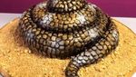 10 Cake Ini Mirip Hewan Asli, Ada Bentuk Monyet hingga Gajah