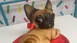 10 Cake Ini Mirip Hewan Asli, Ada Bentuk Monyet hingga Gajah
