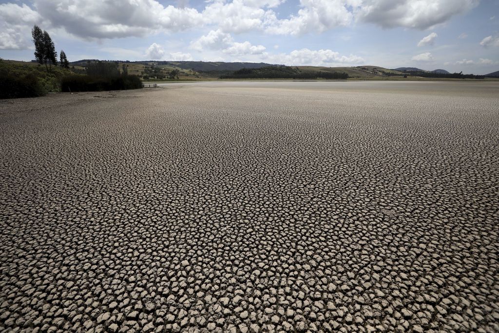 Retakan lumpur membentang di area yang dulunya tertutup oleh perairan laguna Suesca, di Suesca, Kolombia (17/2/2021). Danau yang dulu dipenuhi ikan itu mengering karena efek perubahan iklim. (AP Photo/Fernando Vergara)