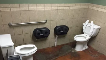 Berani terima tantangan buang air sambil berhadapan? Foto: (liveabout).