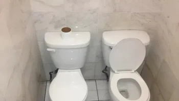 Yuk, balapan. Foto: (liveabout).