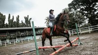 Jadi di Klaten kan banyak tempat berkuda, terus aku gabut pandemi ngapain sih gue, akhirnya menggunakan sisa-sisa tabungan, kan duit berkuda tuh lumayan dibanding sport-sport lainnya, terus kayak latihan sama adik aku. Baru pertama latihan sudah jatuh, padahal baru yang pakai tali gitu lho, tutur Almira. (Foto: Grandyos Zafna/detikcom)