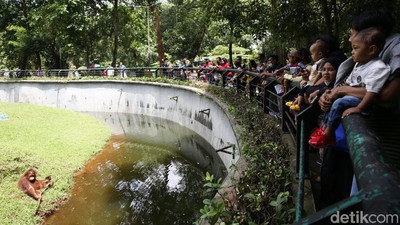 Kebun Binatang Ragunan Ramai Dikunjungi Warga