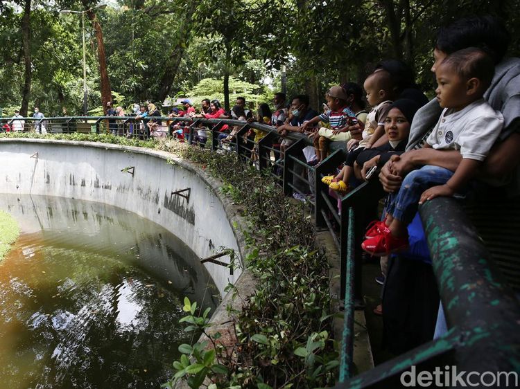 Kebun Binatang Ragunan Ramai Dikunjungi Warga