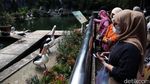 Kebun Binatang Ragunan Ramai Dikunjungi Warga