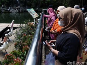 16.909 Orang Kunjungi Ragunan di Hari Terakhir Libur Tahun Baru
