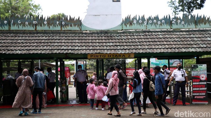 Taman Margasatwa Ragunan dipadati pengunjung saat libur tahun baru 2022. Per pukul 10.00 WIB, pengunjung yang datang berjumlah 6.253 orang.