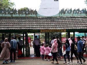 Libur Tahun Baru, 30 Ribu Orang Daftar Masuk Ragunan