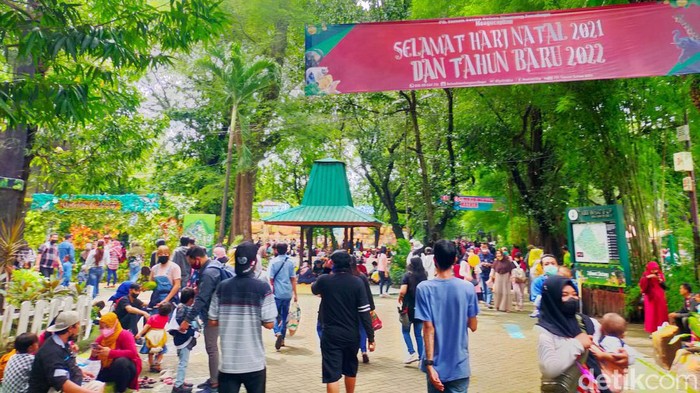 Libur Tahun Baru, Pengunjung KBS Membeludak Libur Tahun Baru 2022 Kebun Binatang Surabaya (KBS) tetap buka. Dibuka mulai pukul 08.00 WIB hingga pukul 13.00 WIB, pengunjung mencapai 8 ribu.