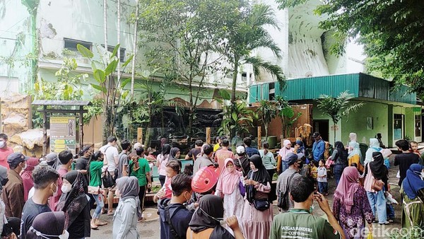 Libur Tahun Baru, Pengunjung KBS Membeludak