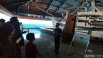 Melihat Museum Kapal Samudra Raksa di Borobudur