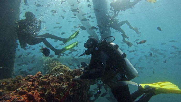 A man dives near an old oil platform during a dive organized by the Chelonia Dive Center in Los Organos in northern Peru, Friday, Dec. 31, 2021. (AP Photo/Rodrigo Abd)