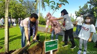 Selain menanam Pohon Pranajiwa, kata Aryono, pengunjung pertama ini diajak untuk menyaksikan Museum Samudra Raksa. Kemudian, menikmati Candi Borobudur, terus diberikan kesempatan untuk memberikan makan pada gajah.