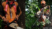 Sama seperti satuan lainnya, para pasukan oranye mengikuti apel sebelum bekerja. Di Kelurahan Bintaro, Jakarta Selatan misalnya, pasukan oranye saat ini berfokus kerja penanganan saluran. Di samping penanganan saluran, pasukan oranye ditugaskan menebang pohon yang sudah lebat. Tentunya, mereka dibekali peralatan standar.