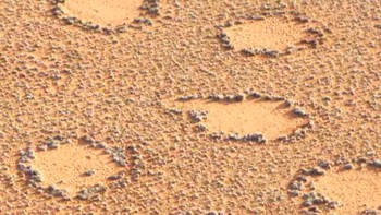 Fairy Circles, Namibia. Ada jutaan pola lingkaran di padang pasir Namibia. Belum diketahui penjelasan pasti keberadaan lingkaran-lingkaran berdiamater antara 2 hingga 15 meter ini. Para ilmuwan menamainya Fairy Circles atau Lingkaran Peri. Foto: Times of India