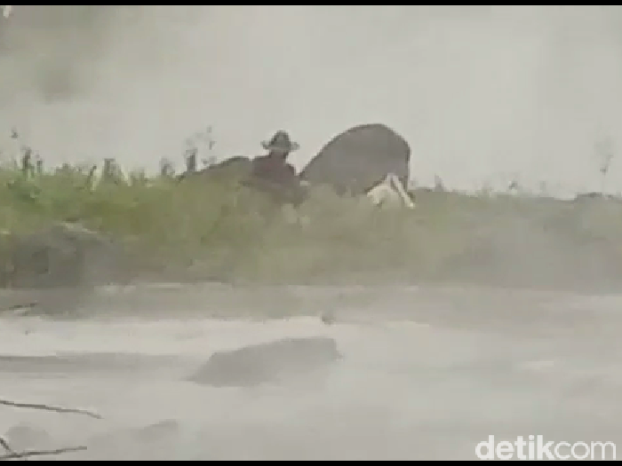 Banjir lahar Gunung Semeru kembali terjadi di Lumajang. Dua warga dan empat kerbau terjebak banjir di Sungai Regoyo, Desa Bades, Kecamatan Pasirian.