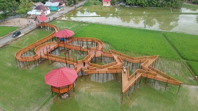 Gaes, Wisata Sawah Pariaman Cocok Nih Buat Foto-foto