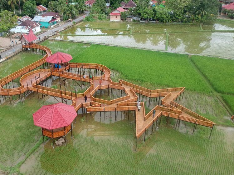 Gaes, Wisata Sawah Pariaman Cocok Nih Buat Foto-foto