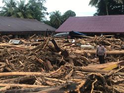 Padang Lawas Diterjang Bandang, Tumpukan Gelondongan Kayu Berserakan!