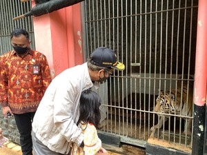 Saat Mahfud Md Liburan Bareng Cucu di Ragunan