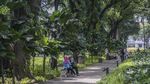 Menghirup Udara Segar di Taman Suropati Jakarta