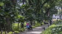 Selain itu warga bisa menikmati udara segar di tengah polusi yang sering ada di perkotaan. 