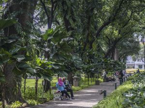 Tren Wisata Ramah Lingkungan, Emangnya Seru?