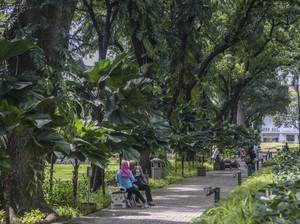 Tren Wisata Ramah Lingkungan, Emangnya Seru?