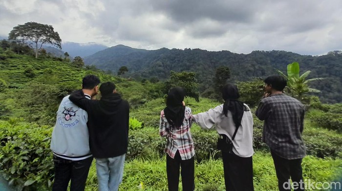 Menikmati Keheningan Alam Perkebunan Teh Margawindu Sumedang Wisata alam sebagian orang menjadi media terapi untuk me-refresh otak setelah disibukan dengan rutinitas pekerjaan, terlebih di momen libur tahun baru. Seperti mengunjungi kawasan perkebunan teh Margawindu di Desa Citengah, Kabupaten Sumedang.